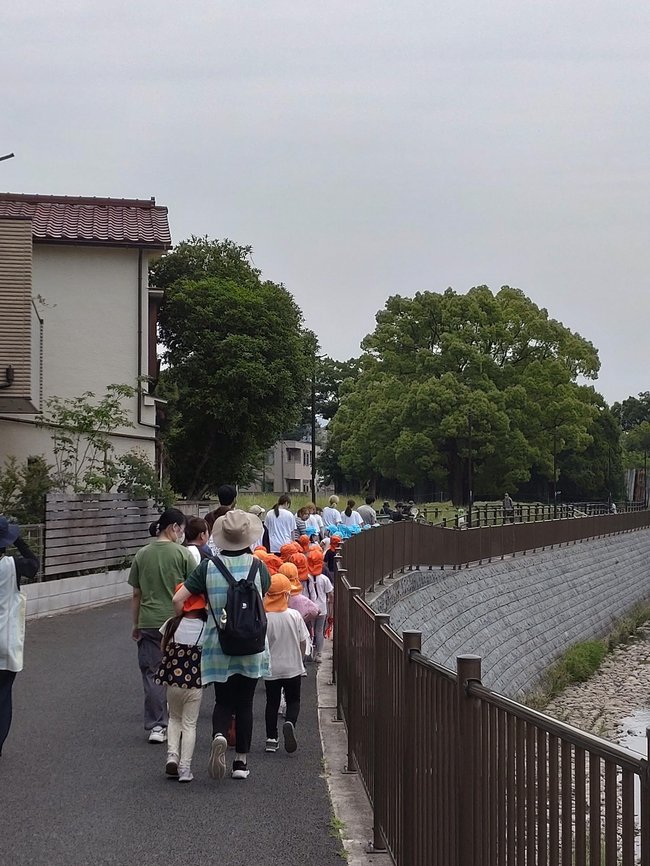 ●'240605 東京立正短期大学　幼教ブログ　川に沿って公園へ.jpeg